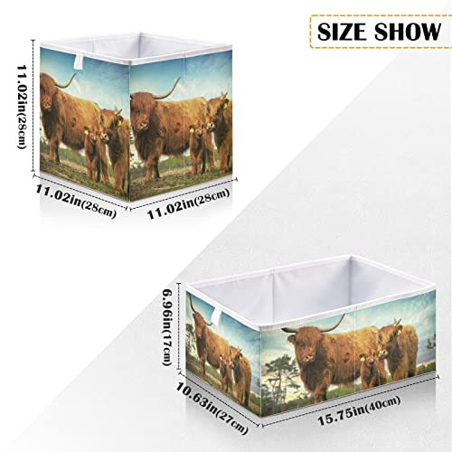 Kigai Storage Basket Highland Cow Foldable Storage Bin 11 X 11 X 11 Inches Cube Storage Baskets Box for Shelves Closet Laundry Nursery Bedroom Home Decor