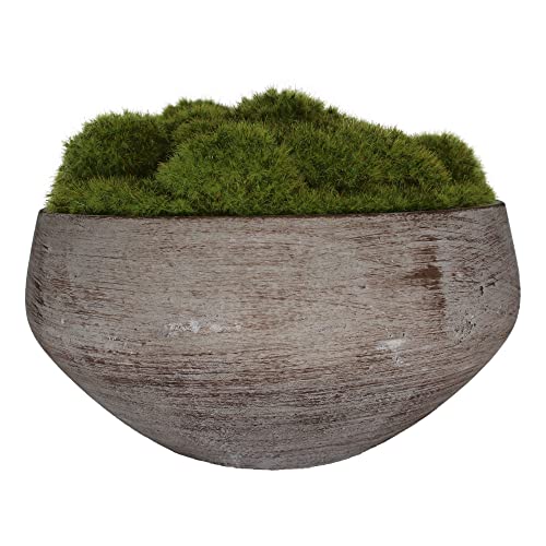 MD MACOMINE DESIGN Moss Bowl | Artificial | Hand-Painted Cement Bowl | Centerpiece | Home Décor | 7 ¾" Diameter