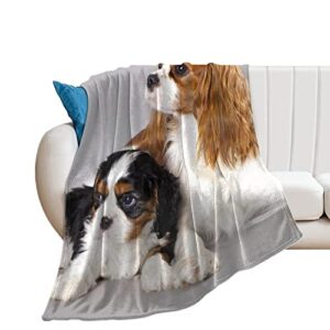 cavalier king charles spaniel, fleece blanket ultra-soft cozy plush blanket throw blankets couch chair living room air conditioning cool blankets, 50″*60″