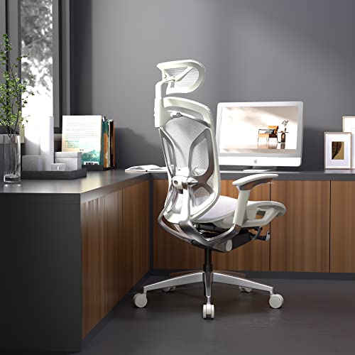 ERGOUP Ergonomic Office Chair Computer Desk Chiar Mesh High Back Desk Chair, Mesh Computer Chair with Adjustable Lumbar Support, Rocking Executive Swivel Chair for Home