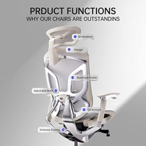 ERGOUP Ergonomic Office Chair Computer Desk Chiar Mesh High Back Desk Chair, Mesh Computer Chair with Adjustable Lumbar Support, Rocking Executive Swivel Chair for Home