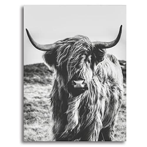 Highland Cow Wall Art with Framed Western Canvas Room Decor Black and White Living Room Bathroom Modern Painting Wall Decor Pictures for Bedroom Kitchen Cow Gifts 16x12inch