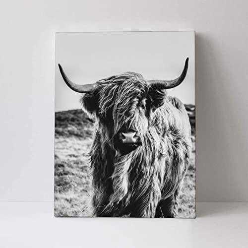 Highland Cow Wall Art with Framed Western Canvas Room Decor Black and White Living Room Bathroom Modern Painting Wall Decor Pictures for Bedroom Kitchen Cow Gifts 16x12inch