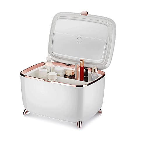 JINZUNBAO Mini Skincare Fridge, Portable Cosmetic Fridge, Low Noise Small Refrigerator for Beauty Products, Beverage, Home, Bedroom, Dorm, Office