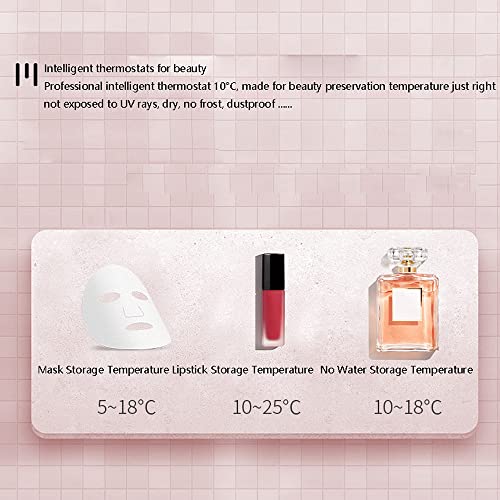 JINZUNBAO Mini Skincare Fridge, Portable Cosmetic Fridge, Low Noise Small Refrigerator for Beauty Products, Beverage, Home, Bedroom, Dorm, Office
