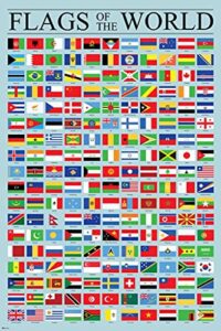 flags of the world classroom poster reference chart country symbol educational teacher learning homeschool display supplies teaching aide cool wall decor 16×24