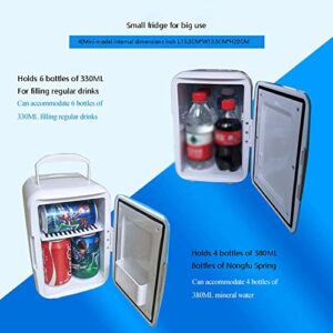 GICIVED Skincare Mini Fridge for Bedroom - Car, Office Desk & Dorm Room - Portable 4L/6 Can Electric Plug In Cooler & Warmer for Food, Drinks, Beauty and Makeup