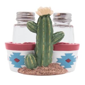 salt and pepper set holder with a cactus pot design, southwestern décor, shakers included, 4.5 inches