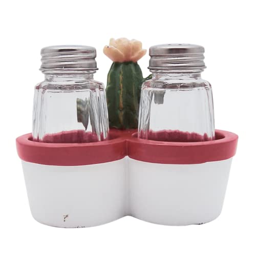 Salt and Pepper Set Holder with a Cactus Pot Design, Southwestern Décor, Shakers Included, 4.5 Inches