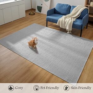 Area Rug-5x7 Rug for Living Room Contemporary Durable Carpet-Washable Rug Suitable for Living Room Bedroom Dinning Room Laundry Room Study Room