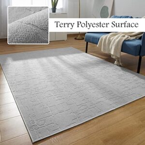 Area Rug-5x7 Rug for Living Room Contemporary Durable Carpet-Washable Rug Suitable for Living Room Bedroom Dinning Room Laundry Room Study Room