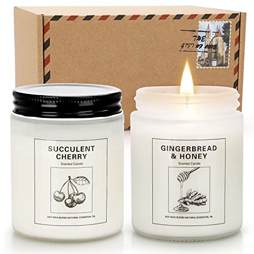 Candles | Candles for Home Scented | 2 Pack 7.1oz Natural Soy Wax Aromatherapy Candles | Over 120 Hours of Burn Time | Christmas Scented Candles Gifts Sets for Women | Apple Cinnamon Candles