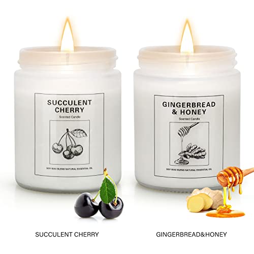 Candles | Candles for Home Scented | 2 Pack 7.1oz Natural Soy Wax Aromatherapy Candles | Over 120 Hours of Burn Time | Christmas Scented Candles Gifts Sets for Women | Apple Cinnamon Candles