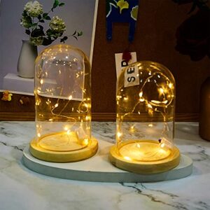 4 Pcs Clear Glass Dome Cloche with Wood Base and LED Fairy Light Set, Battery Operated Glass Cloche Glass Dome with Base Tabletop Bell Jar Display Case for Home Office Wedding Centerpiece Rose Flower