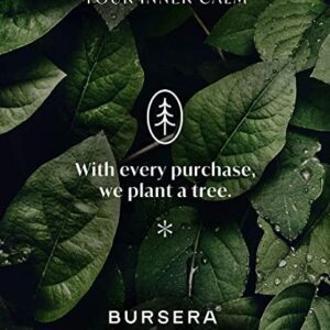 Bursera Scented Candle - Desert Rose, Tree Planted with Every Order, Natural Scented Soy Candle | 7.4oz Single Wick Candle | Slow Burning 45hr Burn Time, Aromatherapy Non Toxic Candles