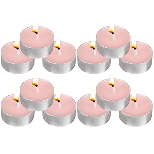 Tea Lights Candles - 12 Pack Pink Tealights Candle Scented Rose Small Candle for Home, Holiday, Wedding & Party,Dinner Table, Halloween Christmas and Holiday (Pink Rose)