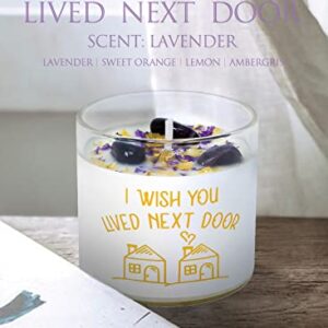 Lavender Crystal Candles, POSOWEL Lavender Soy Candle - I Wish You Lived Next Door - Best Friend, Friendship Gifts for Women, Mothers Day, Birthday Gifts for Friends Mom Wife