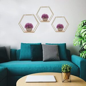 DOITOOL 3Pcs Iron Hexagon Wall Hexagon Shelves Hexagon Hanging Shelves Hexagon Display Shelves Wall Shelves Hexagonal