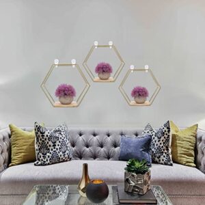 DOITOOL 3Pcs Iron Hexagon Wall Hexagon Shelves Hexagon Hanging Shelves Hexagon Display Shelves Wall Shelves Hexagonal