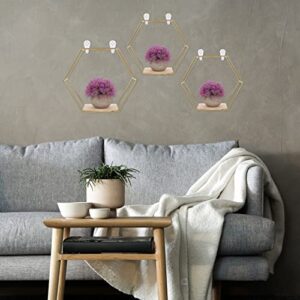 DOITOOL 3Pcs Iron Hexagon Wall Hexagon Shelves Hexagon Hanging Shelves Hexagon Display Shelves Wall Shelves Hexagonal