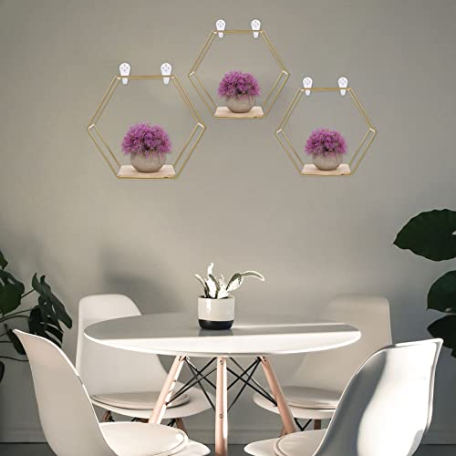 DOITOOL 3Pcs Iron Hexagon Wall Hexagon Shelves Hexagon Hanging Shelves Hexagon Display Shelves Wall Shelves Hexagonal