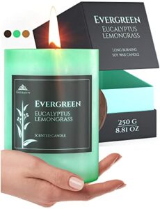 evergreen lemongrass & eucalyptus candle, scented candle for [anxiety and stress relief] 60h burning time, natural soy candle infused with essential oils, aromatherapy candle 8.81 oz