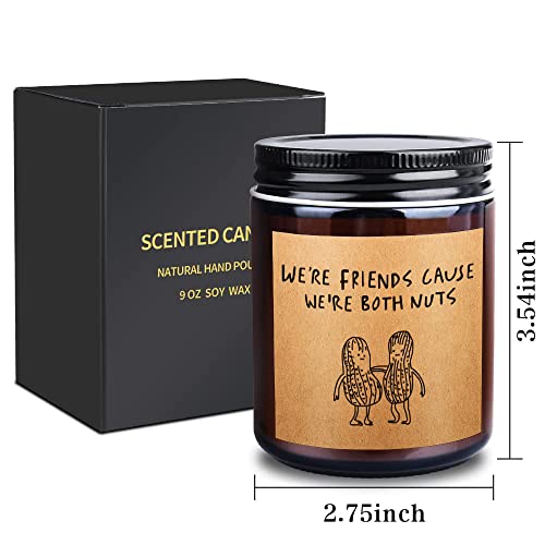 Best Friend Birthday Gifts for Women Men Sister, Unique Friendship Bday Candle Present for Female Her Bestie BFF Long Distance Relationship Girlfriend, Fun Anniversary Ideas (friend-nuts)