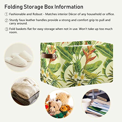 Gougeta Foldable Storage Basket with Handle, Tropical Exotic Plumeria and Palm Leaves Rectangular Canvas Organizer Bins for Home Office Closet Clothes Toys 2 Pack