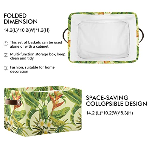 Gougeta Foldable Storage Basket with Handle, Tropical Exotic Plumeria and Palm Leaves Rectangular Canvas Organizer Bins for Home Office Closet Clothes Toys 2 Pack