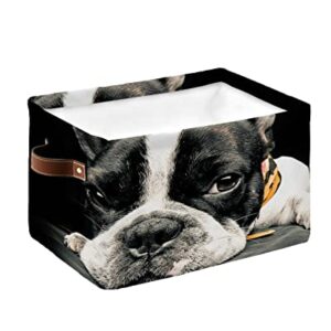 Storage Organizer Bins Set of 1 Storage Baskets for Clothes on Shelves With Handles Lovely French Bulldog Animal Photography Black Rectangular Fabric Laundry Baskets for Organizing