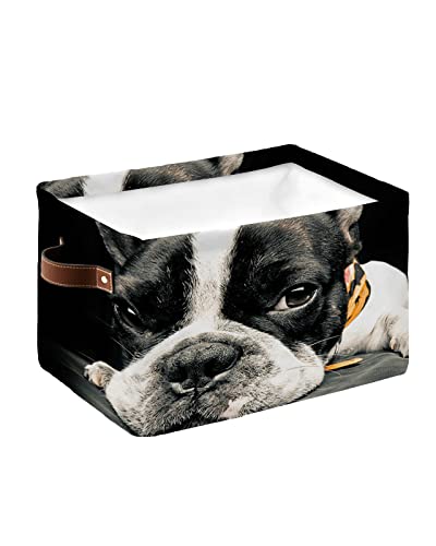 Storage Organizer Bins Set of 1 Storage Baskets for Clothes on Shelves With Handles Lovely French Bulldog Animal Photography Black Rectangular Fabric Laundry Baskets for Organizing