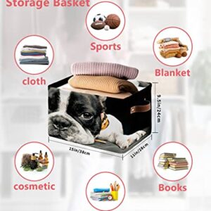 Storage Organizer Bins Set of 1 Storage Baskets for Clothes on Shelves With Handles Lovely French Bulldog Animal Photography Black Rectangular Fabric Laundry Baskets for Organizing