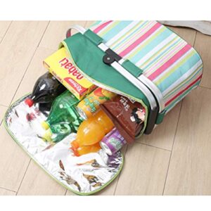 LIOOBO 26l Large Picnic Basket: Camping Grocery Bags, Insulated Baskets, Portable Picnic Basket, Canvas Leak-Proof Travel Cooler Tote 1pc
