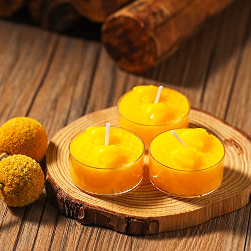 24 Set Honeycomb Honey Bee Baby Shower Decorations Beeswax Bee Tealight Candles for Honeybee Festival Party Favors Supplies Bee Theme Party Favors for Guests Bee Teachers Decorations Classroom Decor