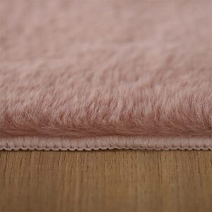 KASENTEX Fluffy Faux Fur Soft Area Rugs for Bedroom Living Room Carpet, Home Fuzzy Plush Rug for Dorm, Anti-Slip Rug, 4 x 6 Feet, Pink