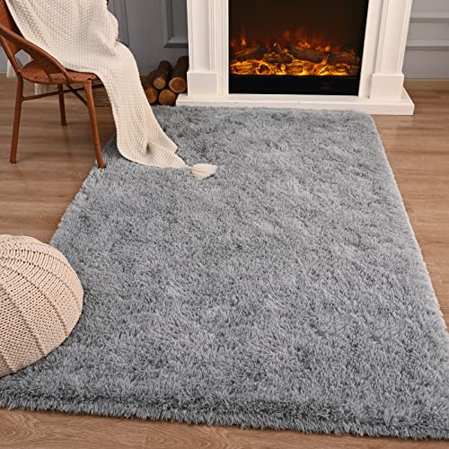 Przemy Fluffy Bedroom Rug 4 x 6 Ft Area Rugs for Living Room, Super Soft Shag Rug, Indoor Modern Fluffy Carpet Rugs for Bedroom Kids Girls Room Dorm Home Decor, Non-Slip Plush Nursery Rug, Grey