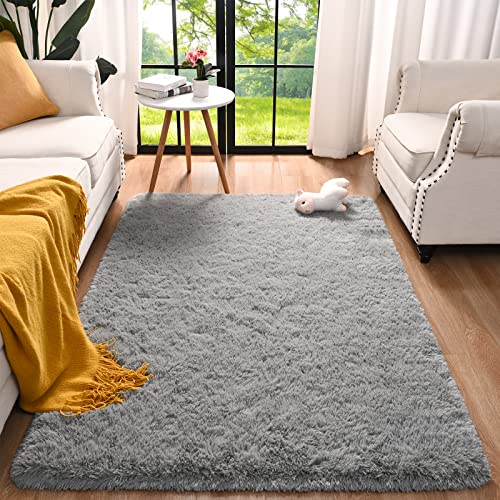 Przemy Fluffy Bedroom Rug 4 x 6 Ft Area Rugs for Living Room, Super Soft Shag Rug, Indoor Modern Fluffy Carpet Rugs for Bedroom Kids Girls Room Dorm Home Decor, Non-Slip Plush Nursery Rug, Grey