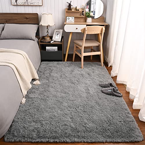 Przemy Fluffy Bedroom Rug 4 x 6 Ft Area Rugs for Living Room, Super Soft Shag Rug, Indoor Modern Fluffy Carpet Rugs for Bedroom Kids Girls Room Dorm Home Decor, Non-Slip Plush Nursery Rug, Grey