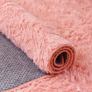 GONAAP Shag Area Rug Fluffy Faux Fur Playing Mat for Girls Bedroom Living Room Home Décor (Pink, 4' x 6')