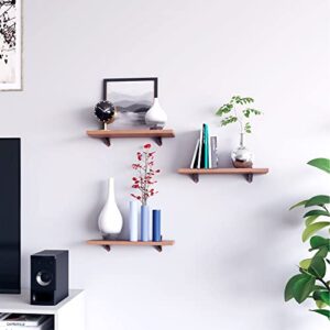 PLAYCON Easy Wall Mounted Floating Shelves Set of 3, for Office/Bedroom/Living Room/Media Room/Kitchen/Bathroom/Laundry Room/Storage, Innovative Textured PVC Finishing Walnut Wood Veneer Looking