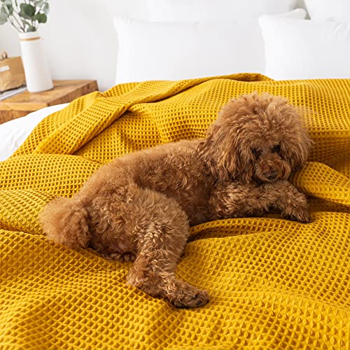 R.SHARE Soft Knit Waffle Throw Blanket for Couch Bed with Tassel, Thin Knitted Lightweight Cozy Woven for Sofa Travel, Cute Women Men, Big Twin Size, 60x80 inches, Mustard Yellow