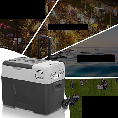 YAARN Small Fridge for Bedroom Mini Fridge 13.5L Can Portable Personal Small Refrigerator Compact Cooler and Warmer for Food Bedroom Dorm Office
