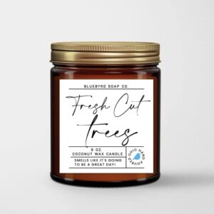 bluebyrd soap co. fraiser fir & pine scented candle jar 9oz. | amber glass holiday candle made with natural coconut wax & non-toxic fragrance (fresh cut trees, 9oz)