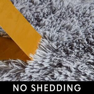 Vocrite Super Soft Fluffy Rug for Bedroom, 4'x6' Grey Shag Shaggy Area Rugs, Non-Slip Plush Furry Throw Carpet, Modern Cozy Rectangle Rug for Bedroom Classroom Nursery Dorm Living Room, Gray