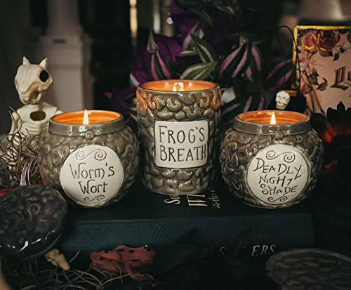 Disney The Nightmare Before Christmas Sally's Deadly Night Shade Jar Ceramic Candle | Jasmine Fragrance with 30-Hour Burn Time