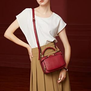 Crossbody Bags for Women, Trendy Design Satchels Shoulder Bag Handbags Tote Bag Double Zip Top-Handle Bags Camera Bag Purse (red)