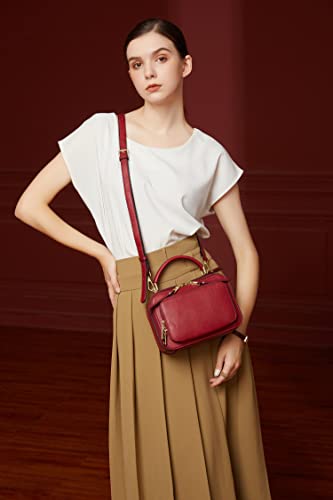Crossbody Bags for Women, Trendy Design Satchels Shoulder Bag Handbags Tote Bag Double Zip Top-Handle Bags Camera Bag Purse (red)