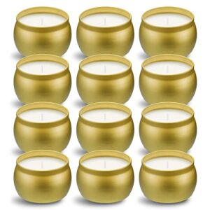 scented candles gift set, 12 pack natural soy wax single tin 4 oz for family gatherings, festive candles