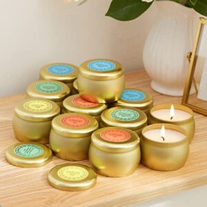 Scented Candles Gift Set, 12 Pack Natural Soy Wax Single tin 4 oz for Family Gatherings, Festive Candles