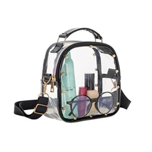 Suelinvy Clear Bag Stadium Approved - Clear Crossbody Bag Stadium Approved, Adjustable Zipper Concert Clear Shoulder Bag